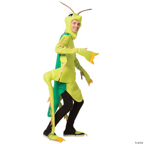 Grasshopper Costume