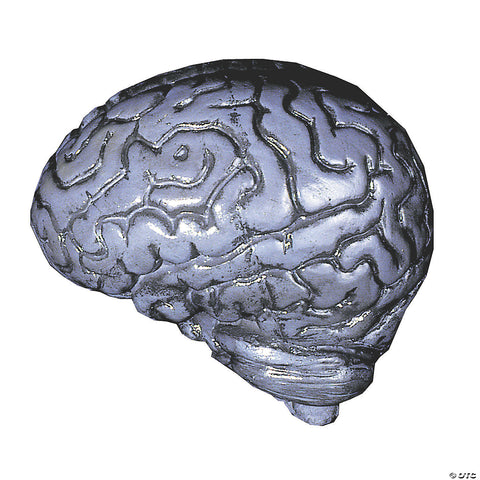 Human Brain - Gray