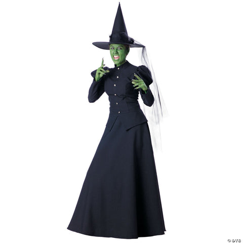 Women's Wicked Witch Deluxe Costume - Large