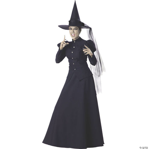 Women's Wicked Witch Deluxe Costume - Large