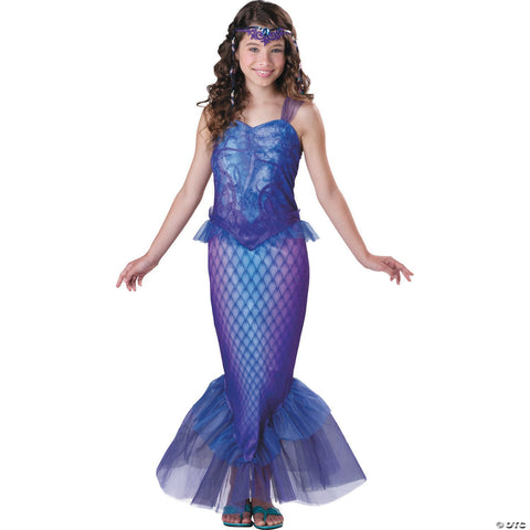 Mysterious Mermaid Costume