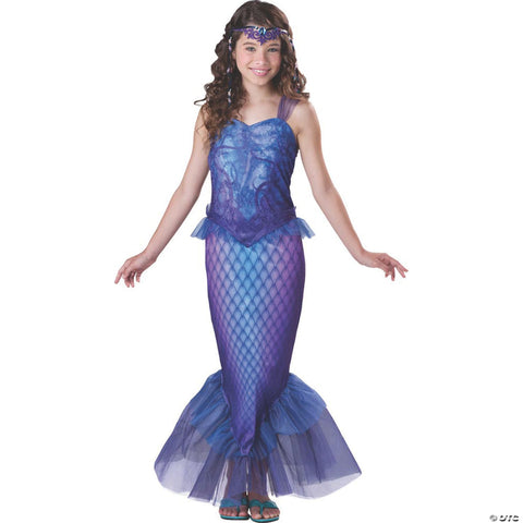 Mysterious Mermaid Costume