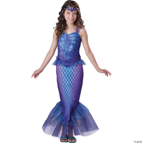 Mysterious Mermaid Costume
