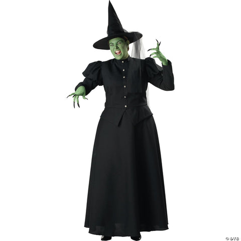 Women's Plus Size Witch Costume
