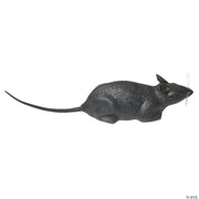 rat-individual