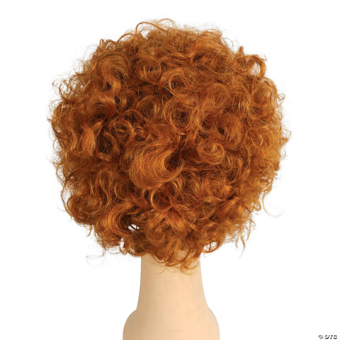 FD Curly Clown Wig