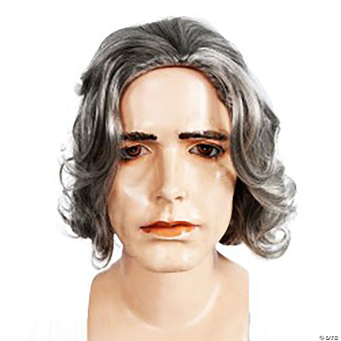 Beethoven Wig