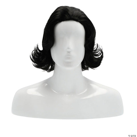 Beethoven Wig