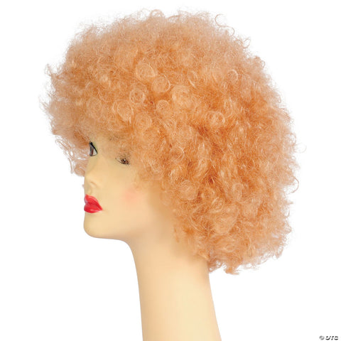 Bargain Afro Wig
