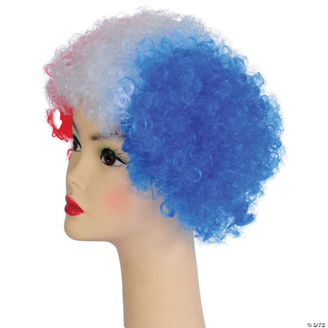 Bargain Afro Wig