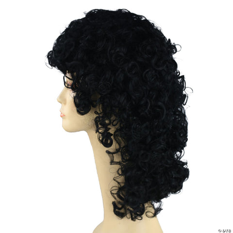 Fancy Bargain Curly HJ9362 Wig