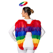 27-x-23-rainbow-wings-with-halo-costume-accessory