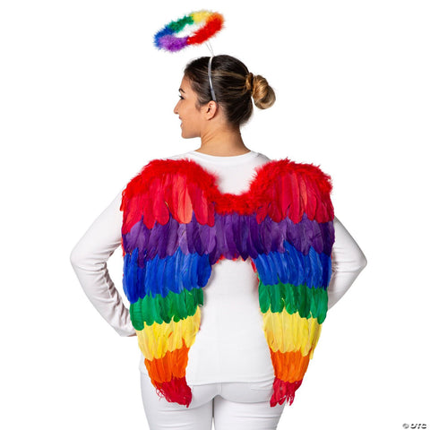 27" x 23" Rainbow Wings with Halo Costume Accessory