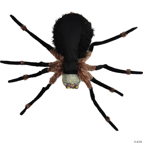 53" Light-Up Black Spider