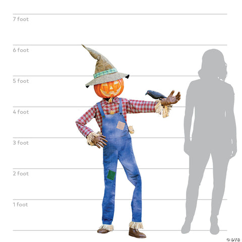Animated Whimsical Scarecrow