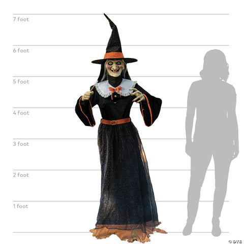 Animated Whimsical Witch