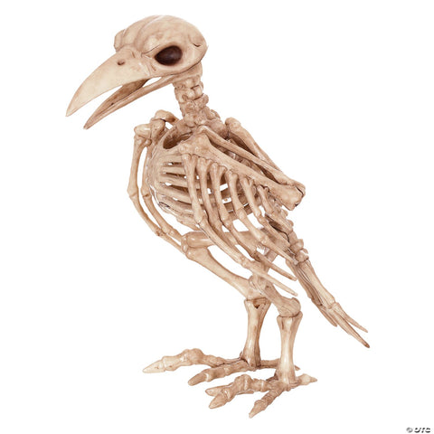 Skeleton Raven