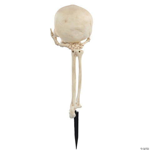 Skull in Hand Groundbreaker