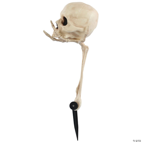 Skull in Hand Groundbreaker