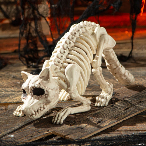 7 3/4" Raccoon Skeleton Plastic Outdoor Halloween Decoration