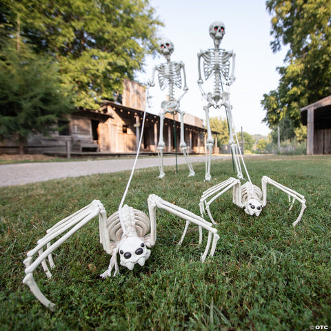 Skeleton Spider Prop