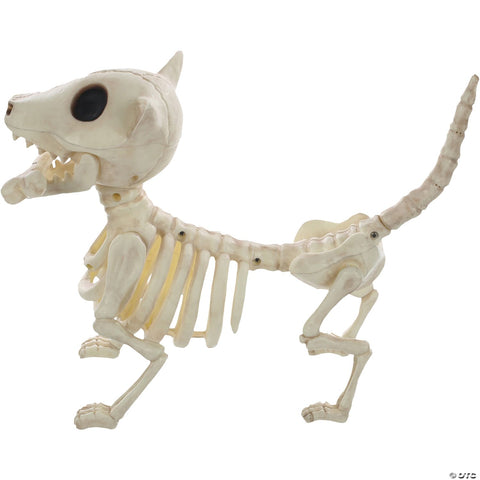 Digger the Skeleton Dog