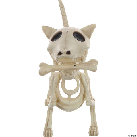 Digger the Skeleton Dog