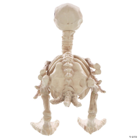 Skeleton Duck Bonez Prop