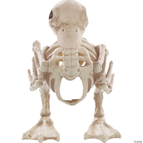 Skeleton Duck Bonez Prop