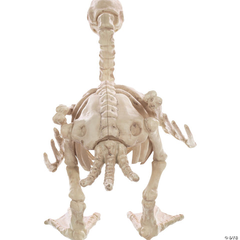 Skeleton Baby Duck Prop