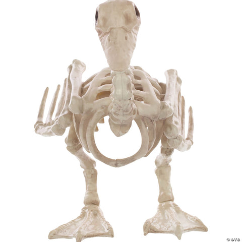 Skeleton Baby Duck Prop