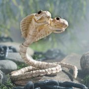 5-1-2-two-headed-cobra-snake-skeleton-halloween-decoration