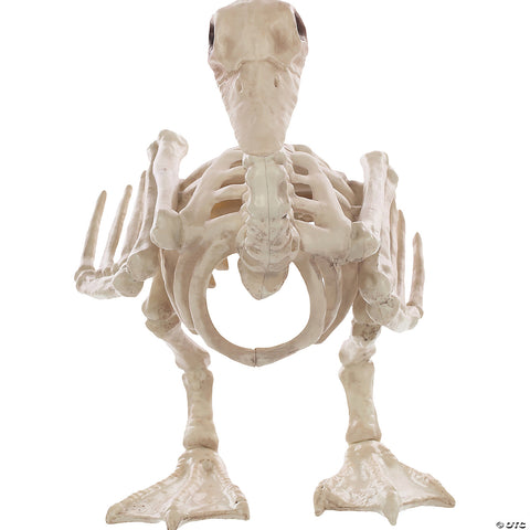 Skeleton Baby Duck Prop | Horror-Shop.com