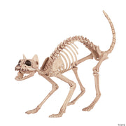 skeleton-kitty-bonez