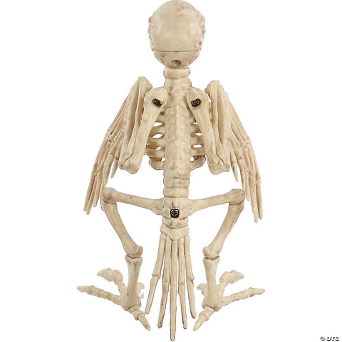 Skeleton Parrot Prop | Horror-Shop.com