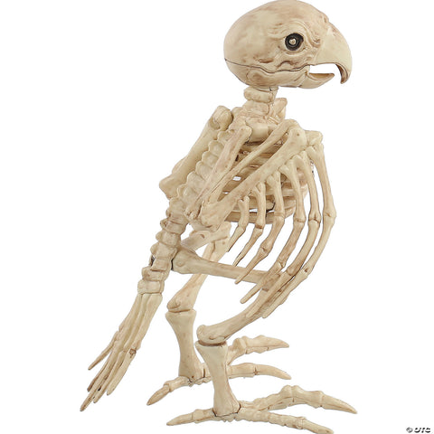 Skeleton Parrot Prop | Horror-Shop.com