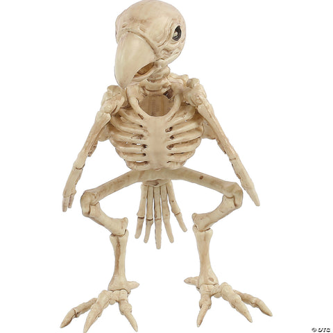 Skeleton Parrot Prop | Horror-Shop.com