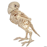 skeleton-parrot-prop