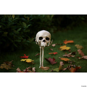 skull-in-hand-groundbreaker