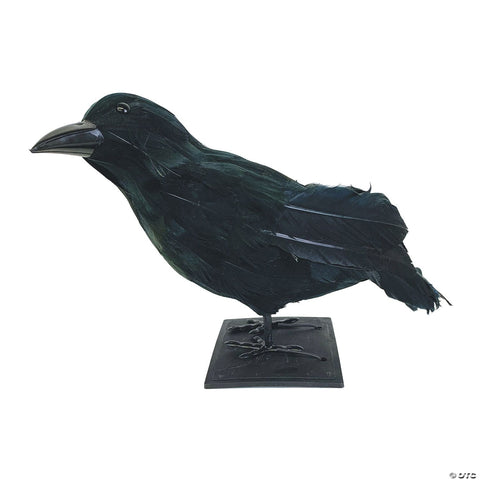 Black Feathered Raven Prop