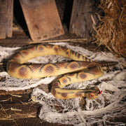 47-colorful-plastic-snake-halloween-decoration