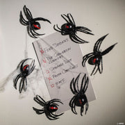 3-1-2-magnetic-black-widow-spiders-12-pc