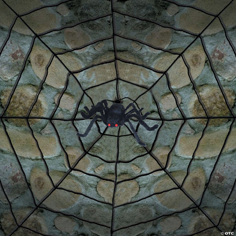 Giant Spider Web With Spider
