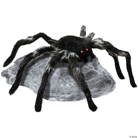 Jumping Spider Black