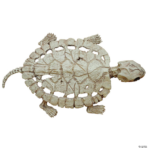 Turtle Skeleton