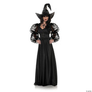 adults-spider-web-mistress-black-lace-front-dress-with-witch-hat-costume