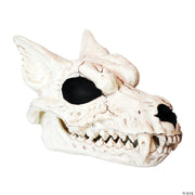 werewolf-skull