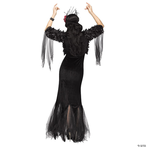 Women's Raven Mistress Costume