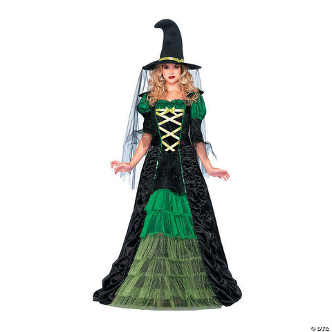 Women's Storybook Witch Costume