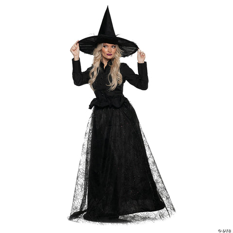 Wicked Witch Adult Costume